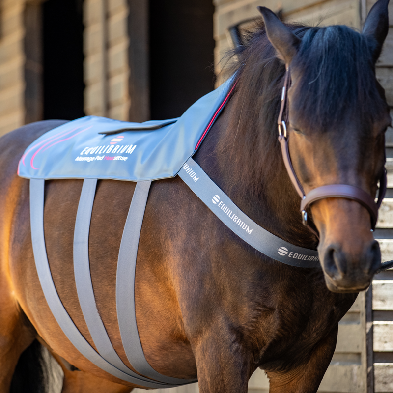 Equilibrium Massage Pad Heatsense - Small-8