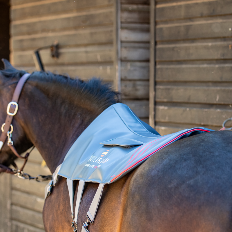 Equilibrium Massage Pad Heatsense - Small-7