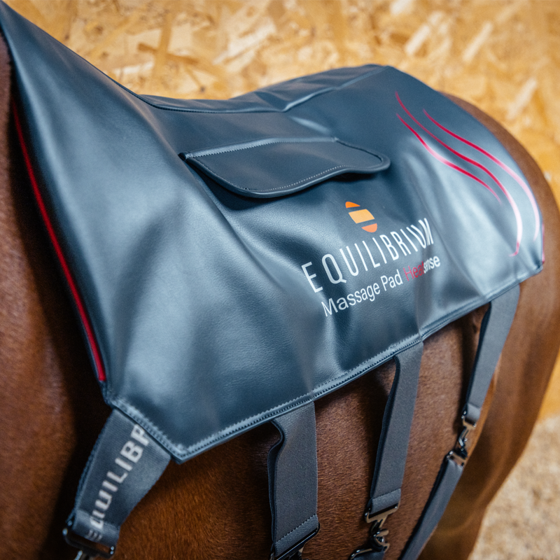 Equilibrium Massage Pad Heatsense - Small-6