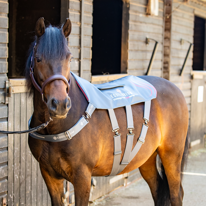 Equilibrium Massage Pad Heatsense - Small-5