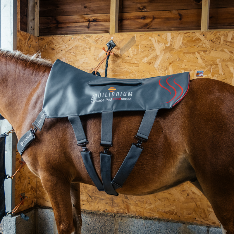 Equilibrium Massage Pad Heatsense - Small-11