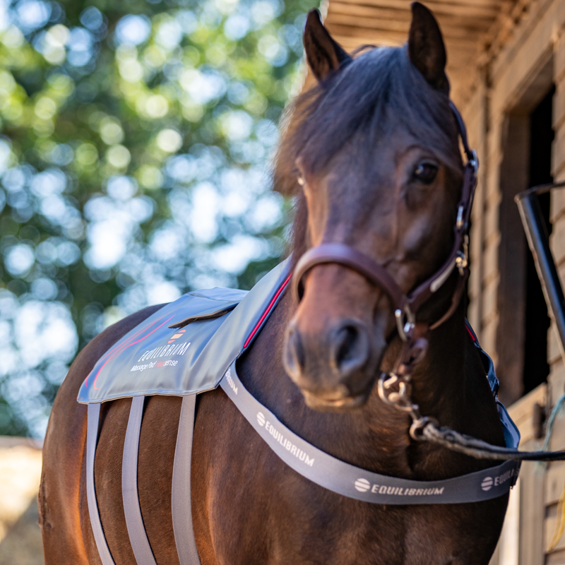 Equilibrium Massage Pad Heatsense - Small-10