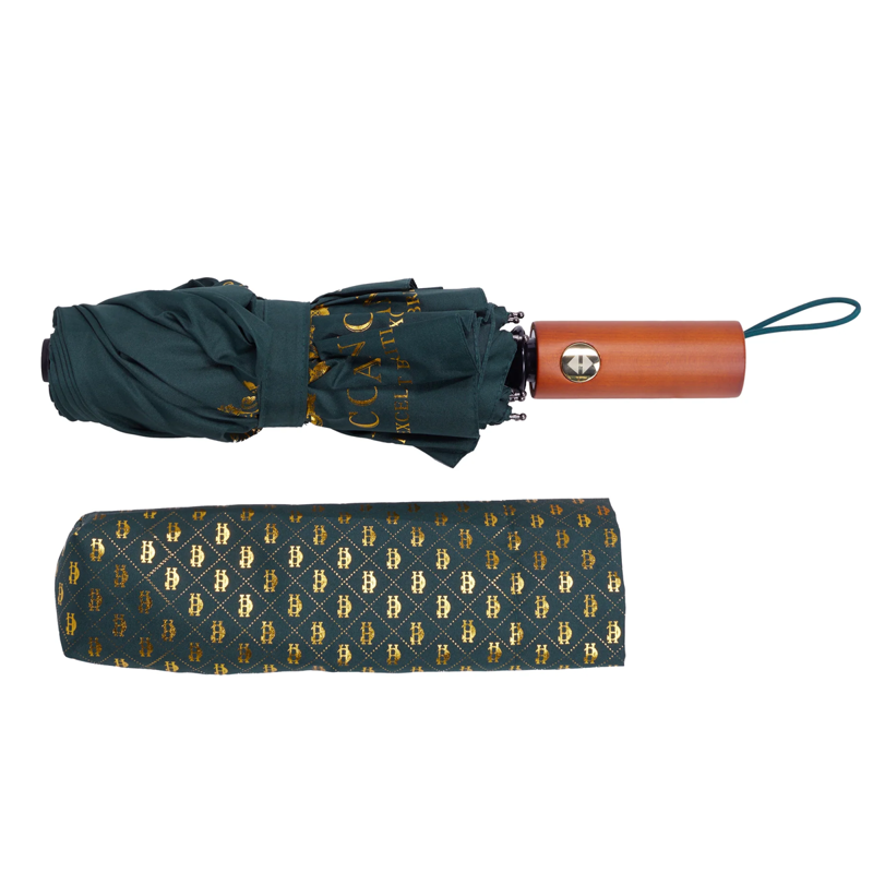 Holland Cooper Mini HC Umbrella - Green-2