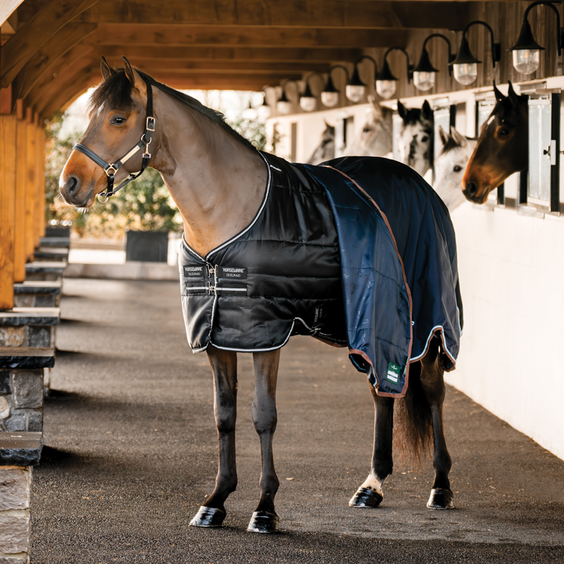 Horseware Easy-Layer 100g Stable Rug - Black/Black Silver-2