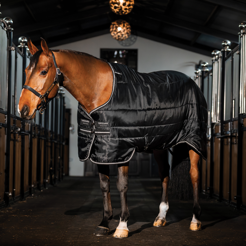 Horseware Easy-Layer 100g Stable Rug - Black/Black Silver-1