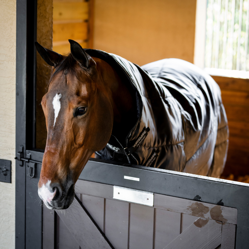 Horseware Amigo Ripstop Insulator 350g Plus Stable Rug - Black Silver