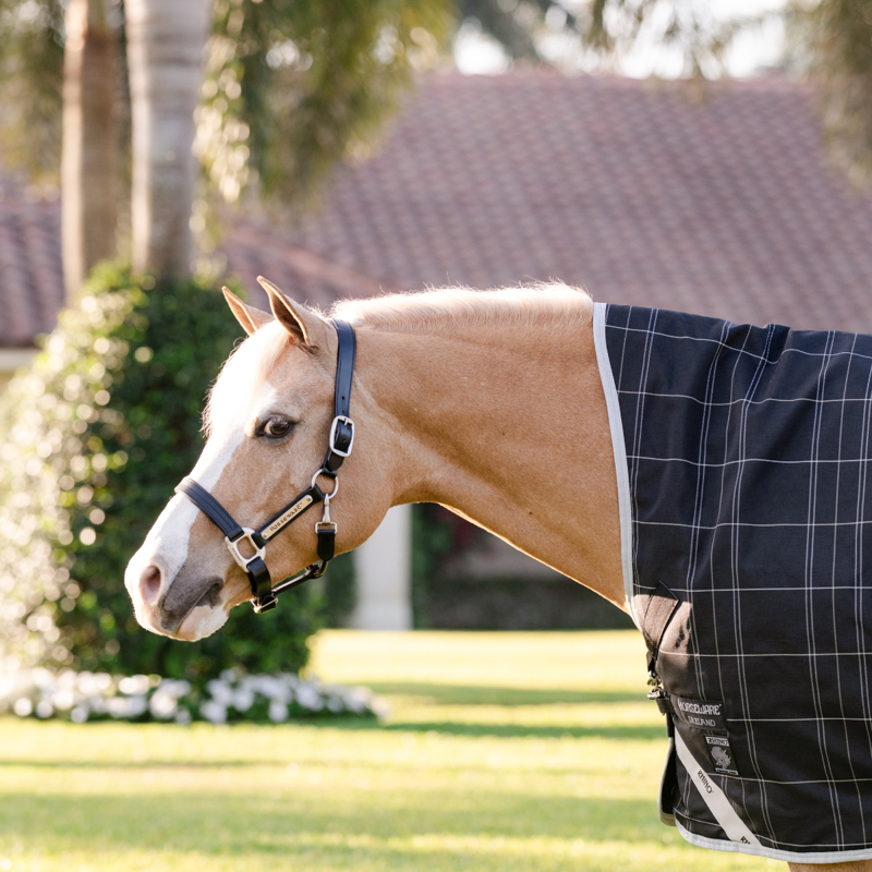 Horseware Rhino Wug Pony Turnout Rug 250g VL - Black/Grey White Check Grey-5
