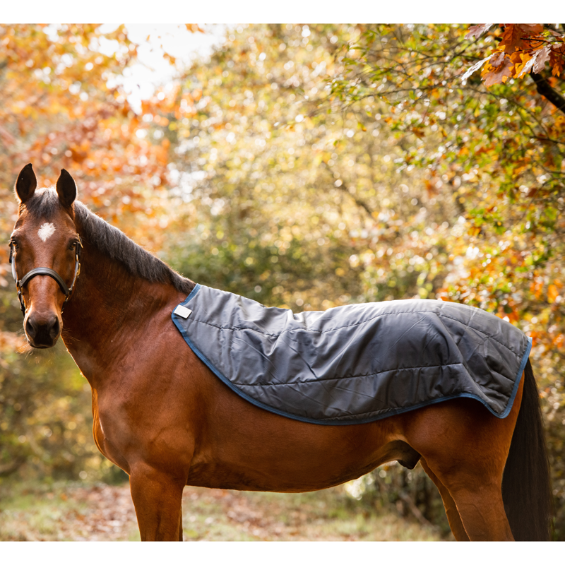 Horseware Rambo Autumn Series Turnout 0g Outer with 100g Liner - Navy/Grey-12