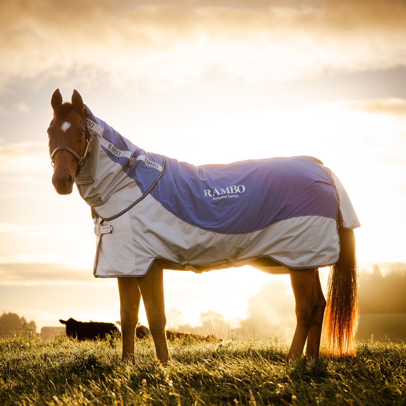 Horseware Rambo Autumn Series Turnout 0g Outer with 100g Liner - Navy/Grey-1