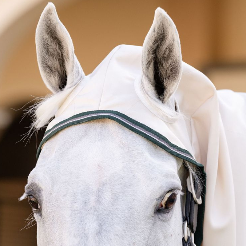 Horseware Rambo Pony Hoody - Chalk/Hunter Green/Silver-5