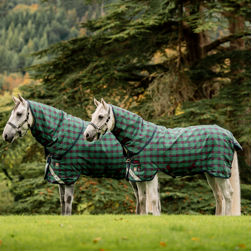 Horseware Rhino Plus Pony 250g Turnout Rug - Holiday Collection - Green Check/Navy/Red-13