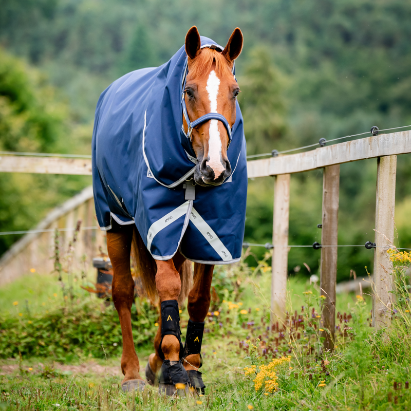 Horseware Amigo Bravo 12 Plus Heavy 400g Turnout Rug - Navy/Titanium Grey Silver-1