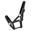 Hy Equestrian Fieldsafe Headcollar - Black