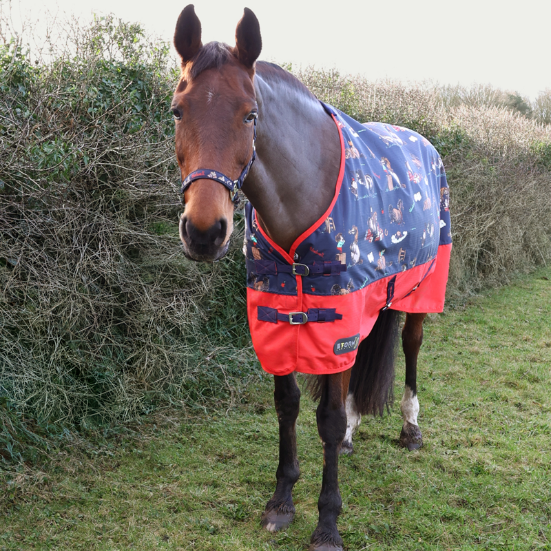 Hy StormX Original 100 Turnout Rug - Thelwell Collection Practice Makes Perfect - Navy/Red-1