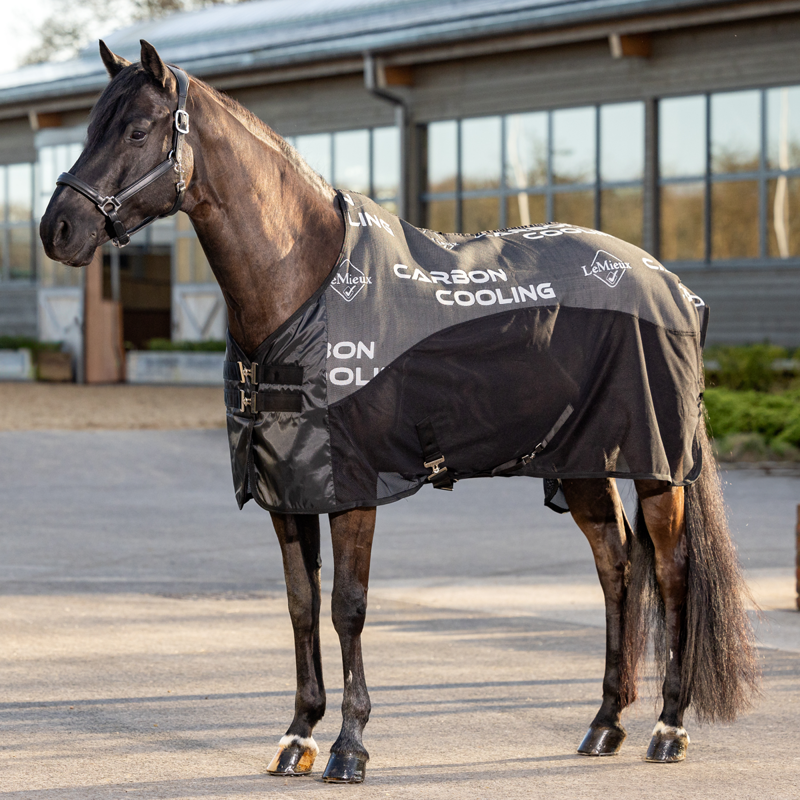 LeMieux Carbon Cooler Rug - Black