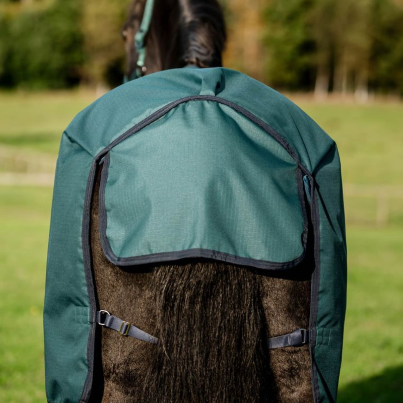 Horseware Amigo Ripstop 900D Turnout 0g - Dynasty Green/Navy/Silver-6