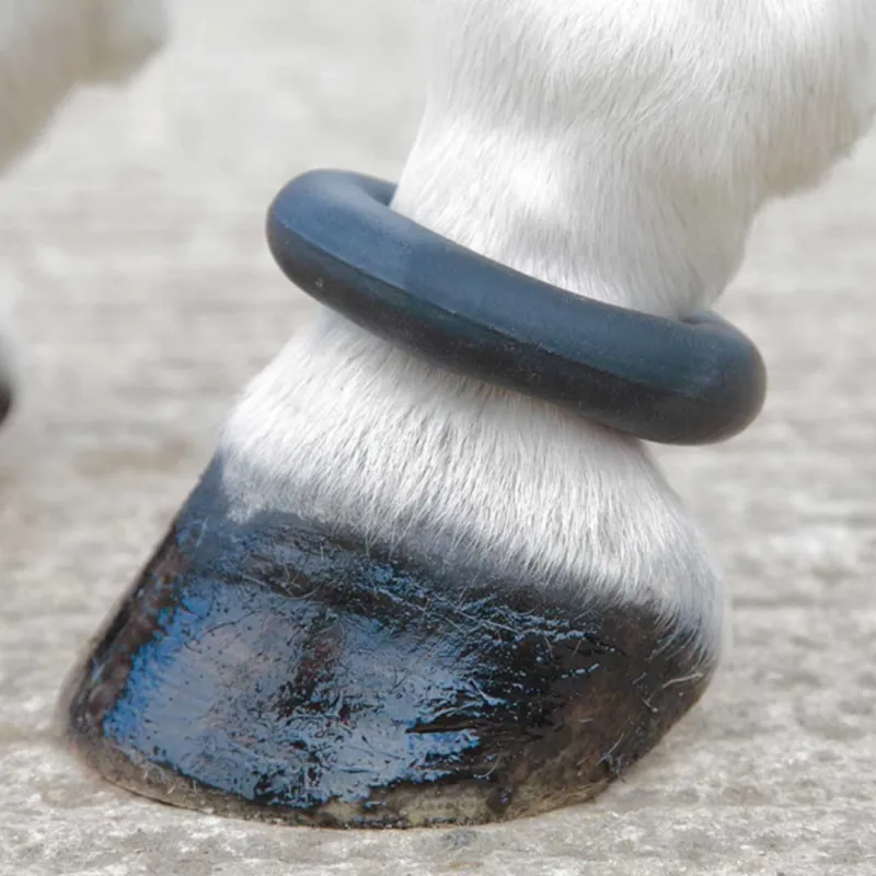 JHL Sausage Boot/Fetlock Ring