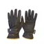 Mark Todd Winter Gloves with Thinsulate - Brown