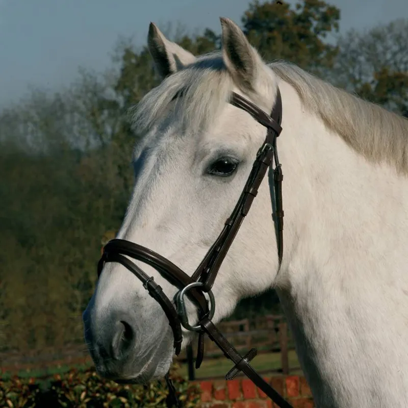 JHL Flash Bridle - Black