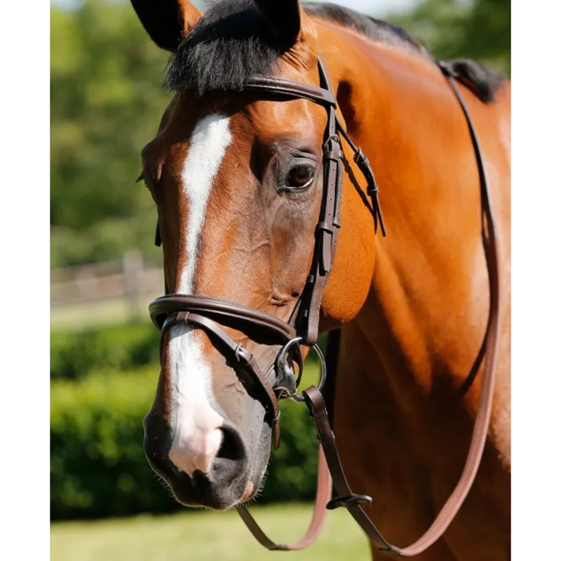 JHL Flash Bridle - Brown