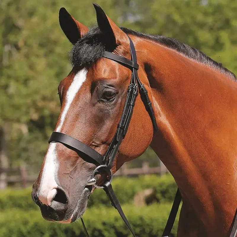 JHL Plain Cavesson Bridle - Black