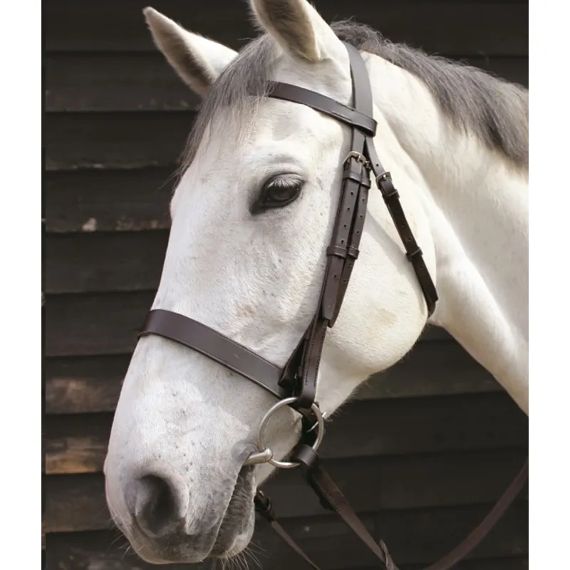 JHL Plain Cavesson Bridle - Brown