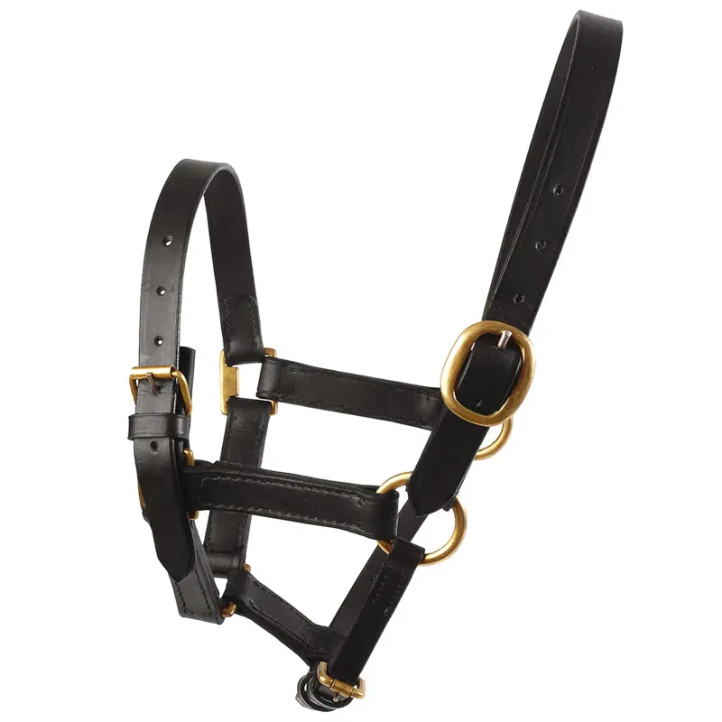 JHL Leather Foal Headcollar - Black