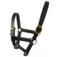 JHL Leather Foal Headcollar - Black