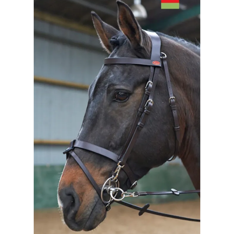John Whitaker Eastwood Training Bridle - Light Havana