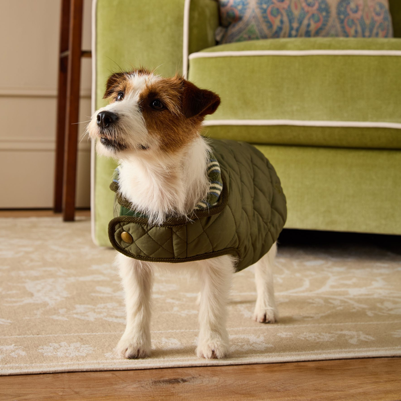 Joules Quilted Dog Coat - Khaki-1
