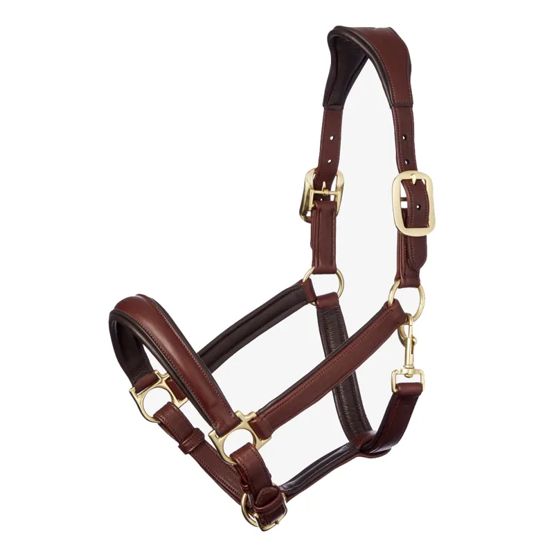 LeMieux Anatomic Leather Headcollar - Brown