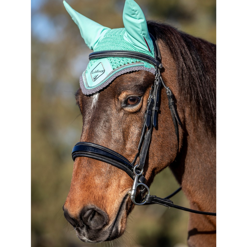 LeMieux Classic Lycra Fly Hood - Mint/Grey-1