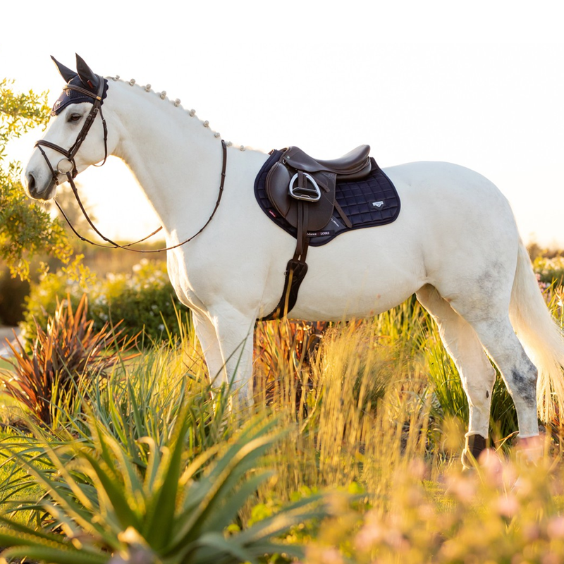 LeMieux Loire Classic Close Contact Square - Navy-1