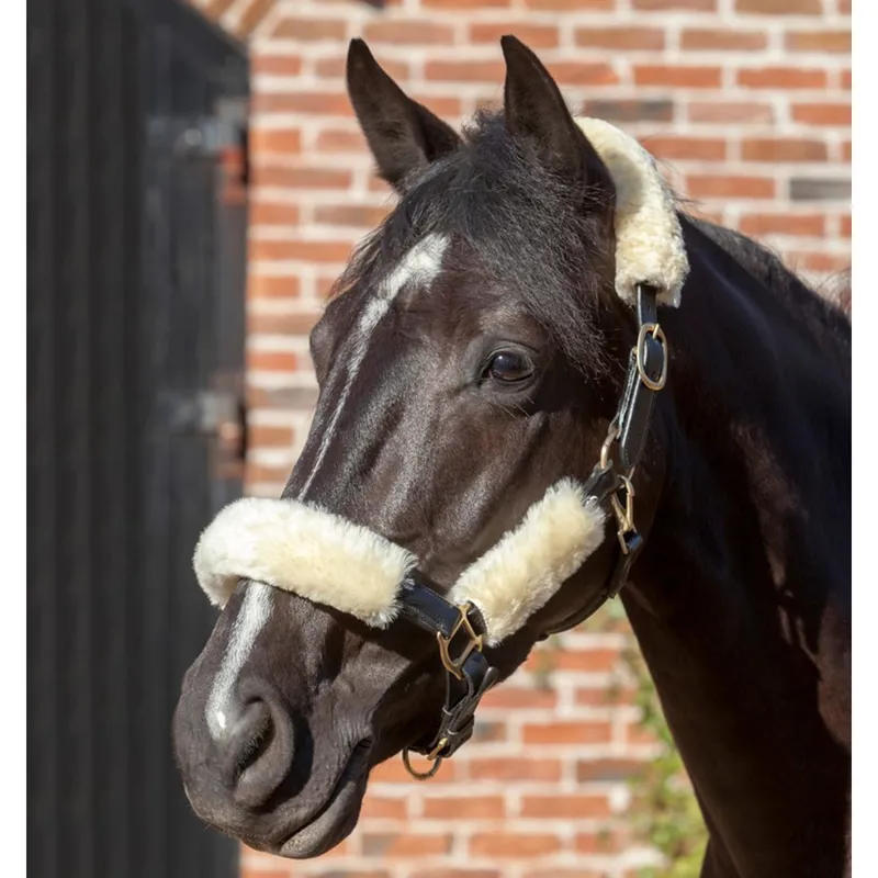 LeMieux ProLambskin Headcollar Set - Natural