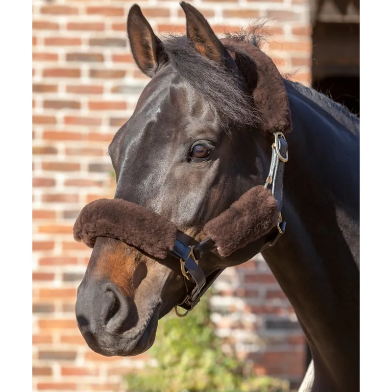LeMieux ProLambskin Headcollar Set - Brown