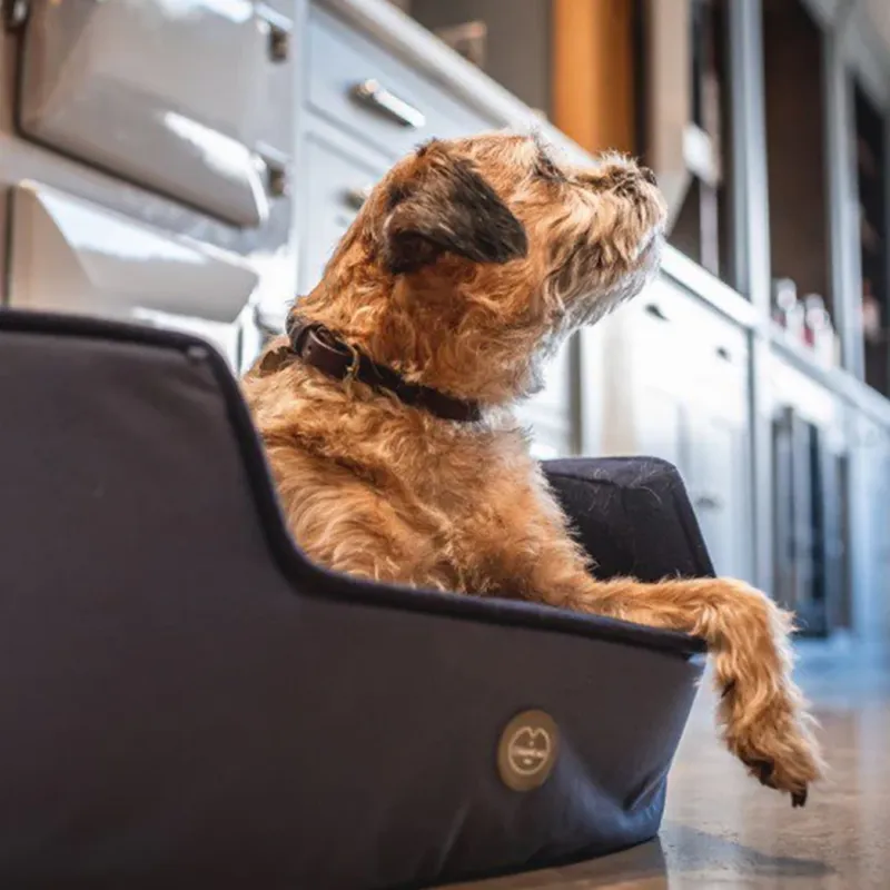 Le Chameau Dog Bed - Bleu Fonce - S-1