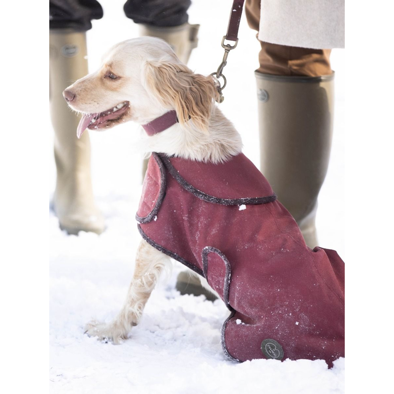 Le Chameau Dog Coat - Rouge-1