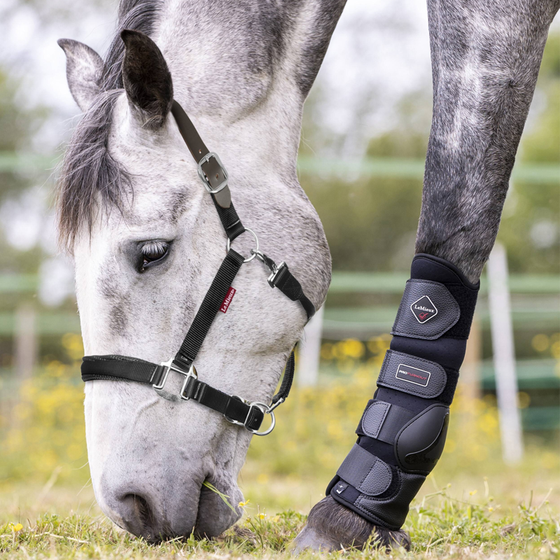 LeMieux Break Away Headcollar - Black-1