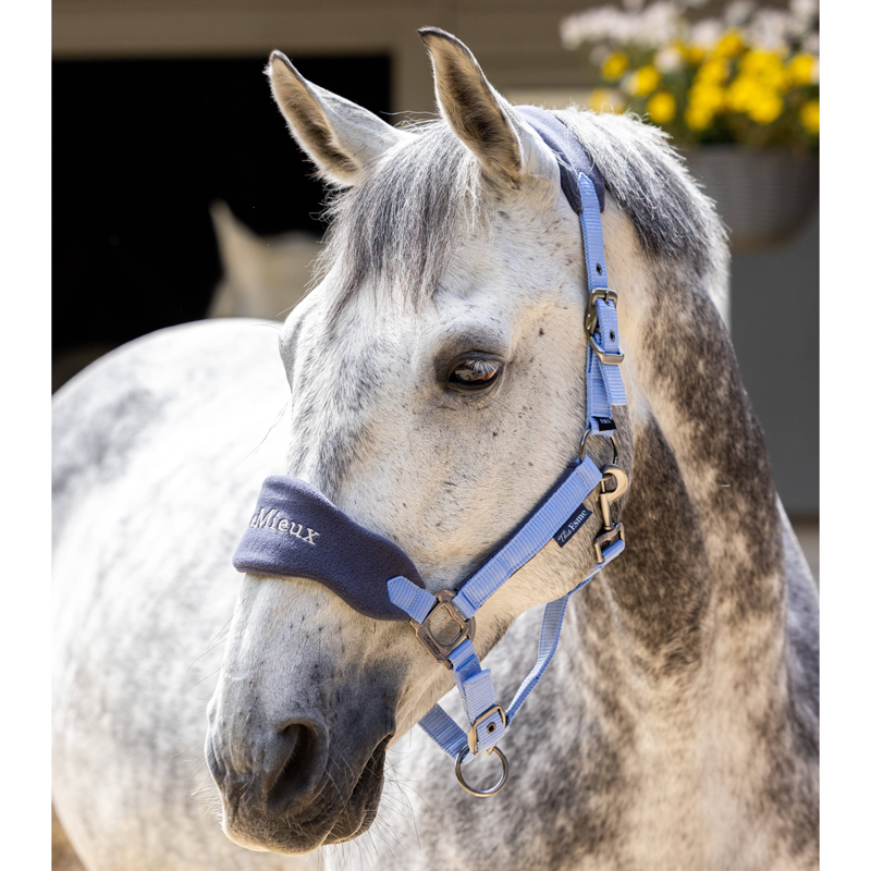 LeMieux Esme Vogue Headcollar And Leadrope - Dusk Blue-1