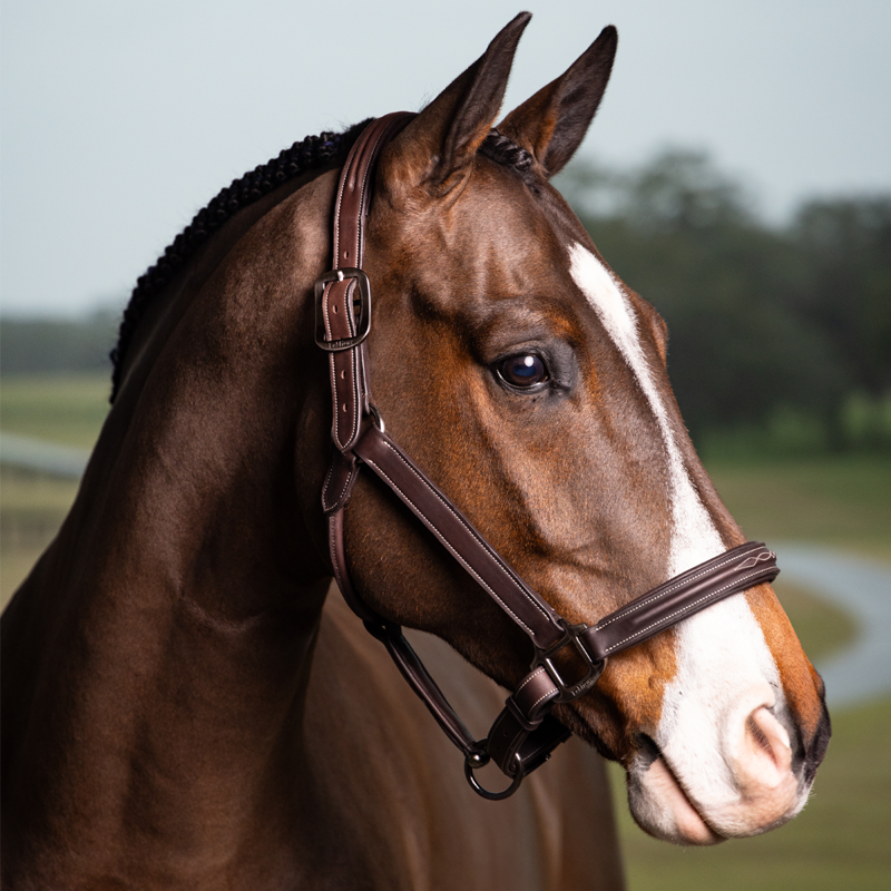 LeMieux Stitched Hunter Headcollar - Havana-1