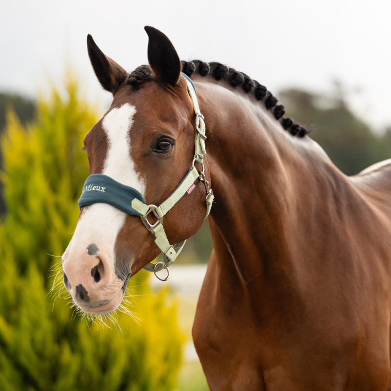 LeMieux Vogue Headcollar and Leadrope - Macaron-1
