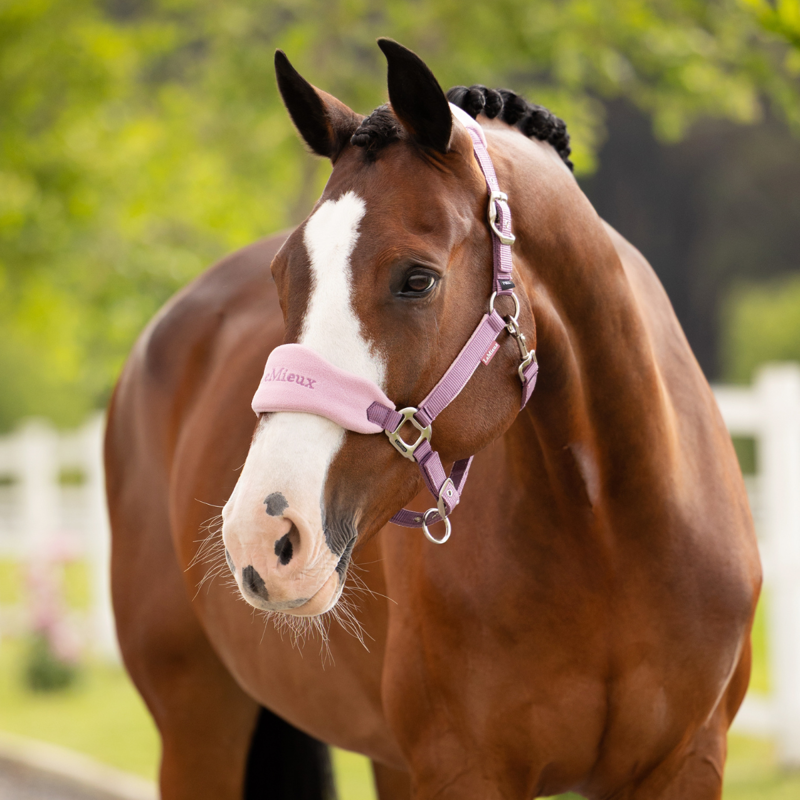 LeMieux Vogue Headcollar and Leadrope - Mallow-1