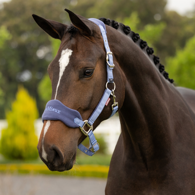 LeMieux Vogue Headcollar and Leadrope - Powder Blue-1