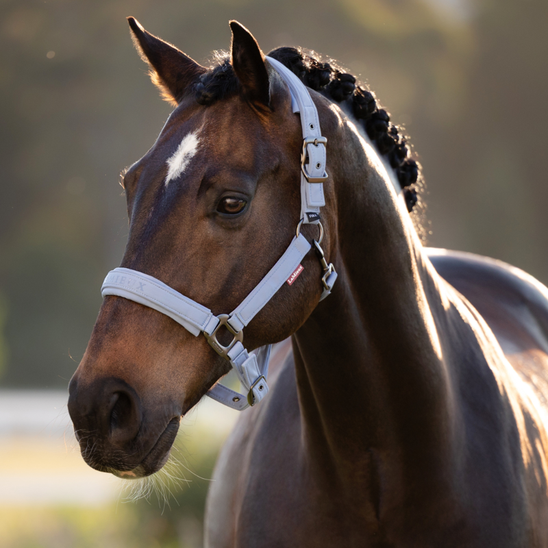 LeMieux Essence Headcollar - Powder Blue-1