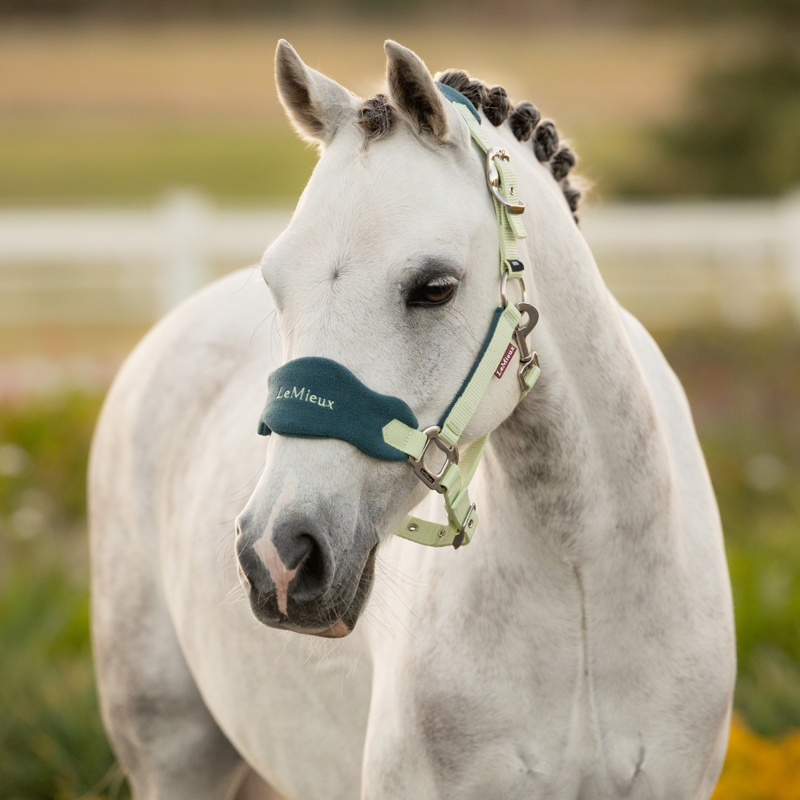 LeMieux Mini Vogue Headcollar and Leadrope - Macaron-1