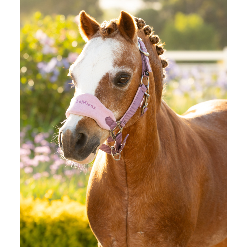 LeMieux Mini Vogue Headcollar and Leadrope - Mallow-1