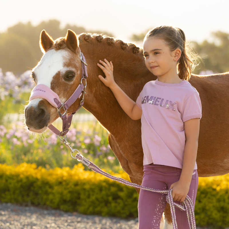 LeMieux Mini Vogue Headcollar and Leadrope - Mallow-2