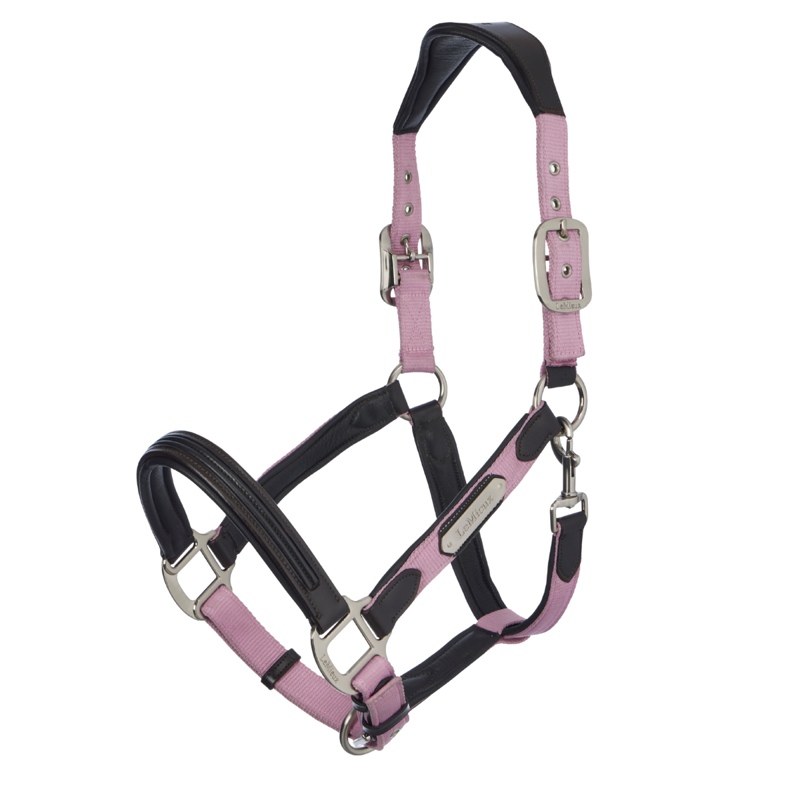 LeMieux Capella Headcollar - Fondant