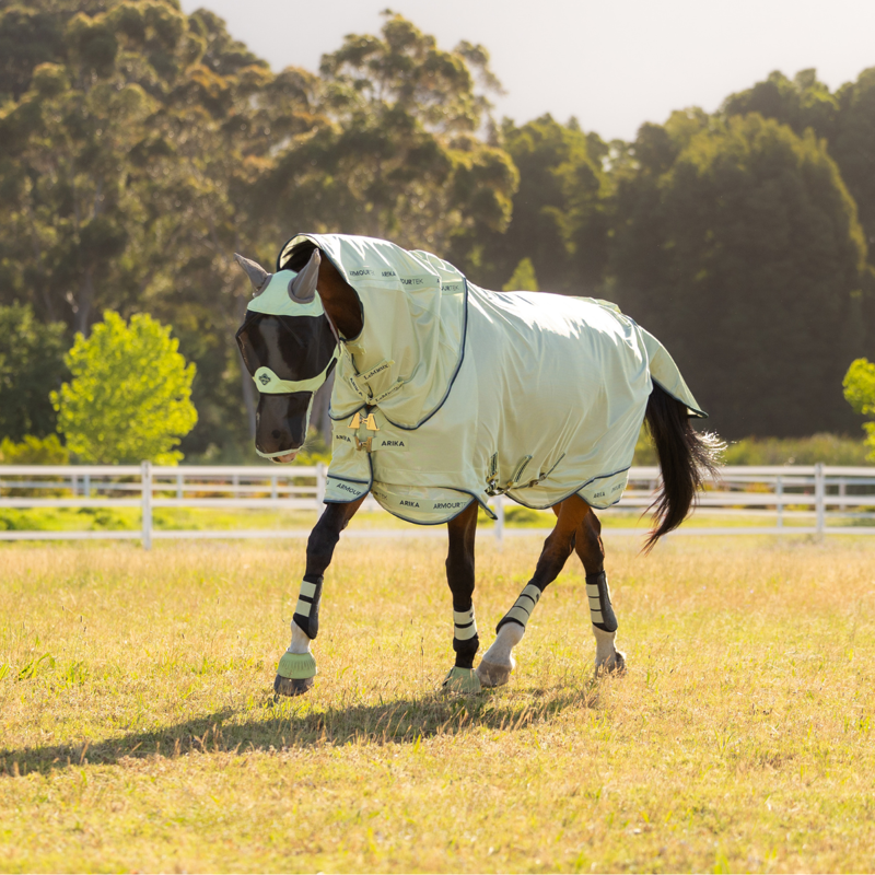 LeMieux Arika Armour-Tek Fly Rug - Macaron
