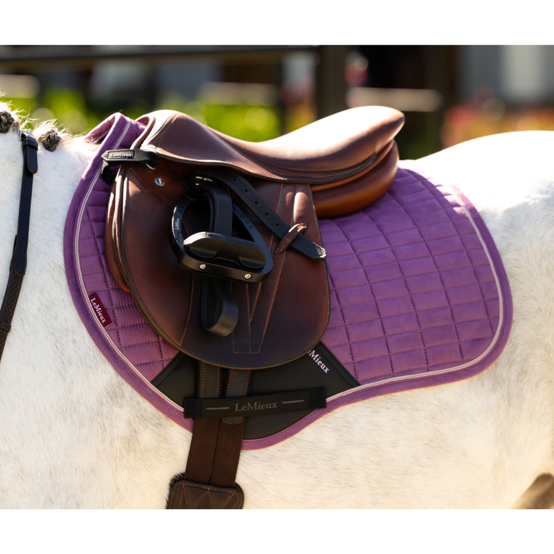 LeMieux Mini Suede Close Contact Square - Mallow-1